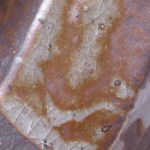 boyd eutectic transparent-c