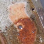 carbon trap orange shino-c