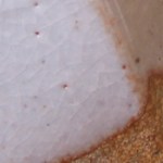 columbia's visual arts ctr-b