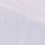 gustinwirt variation 6-a