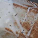 hank's smooth shino-c