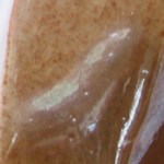 holly's russian house-a