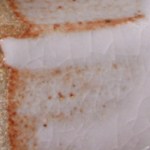 linda's pink shino-b