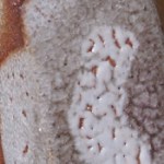 malcolm davis shino 1-b