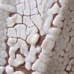 malcolm davis shino 3-b