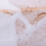 orig. wirt 1-no soda ash-b