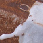 orig. wirt 1-no soda ash-c