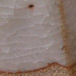 paul woolery shino-b