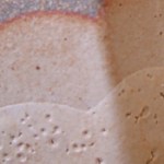 robinson orange crust-b.jpg