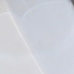 robison peach shino-a