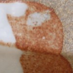 robison peach shino-b