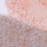 shaner shino variation-a