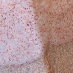 shaner shino variation-b