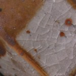 simon's white shino-c