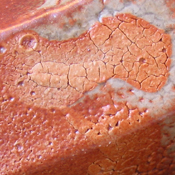 steve davis carbon trap orange-b