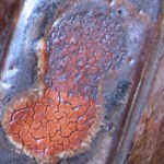 steve davis carbon trap orange-c.jpg