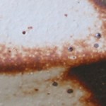 tom coleman 1 shino-c