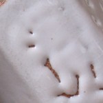 tom coleman 4 shino-b