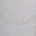 tom coleman crab claw-a